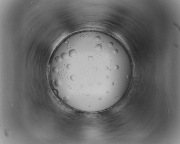 X0000101690899200807101205