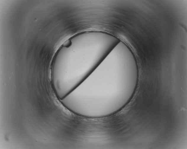 X0000101690900200807101205