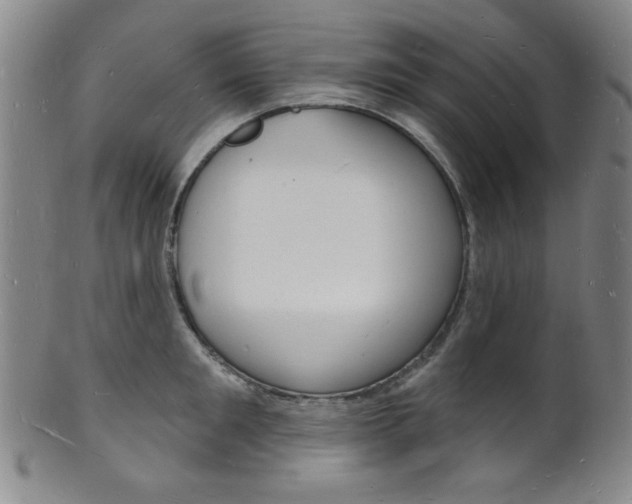 X0000101690901200807101205