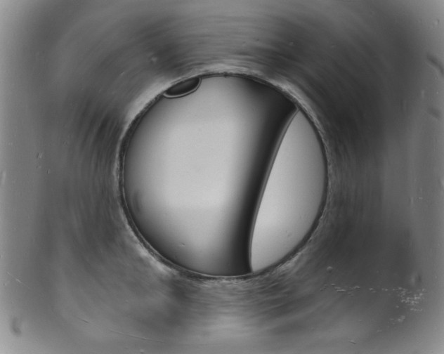 X0000101690902200807101205