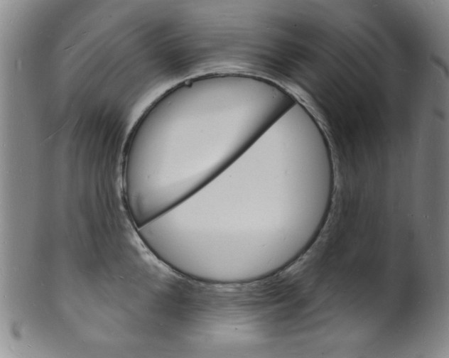 X0000101690904200807101205