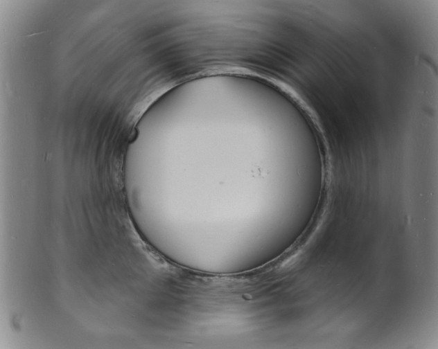 X0000101690905200807101205