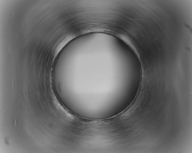 X0000101690906200807101205