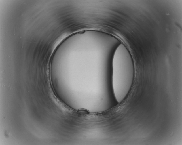 X0000101690907200807101205