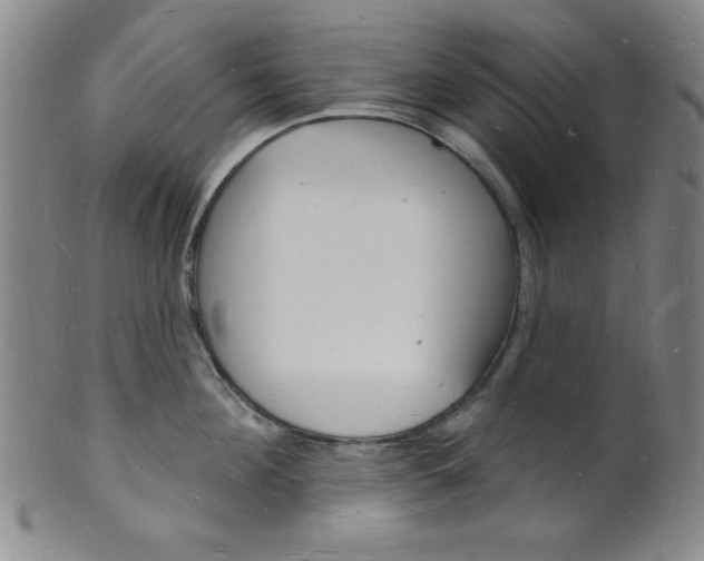 X0000101690908200807101205