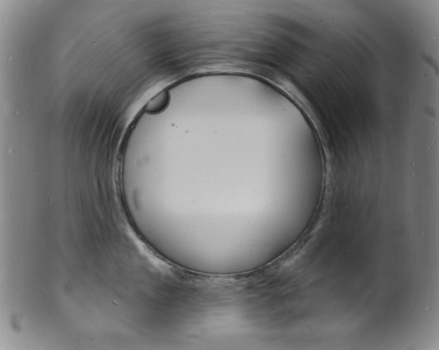 X0000101690909200807101205