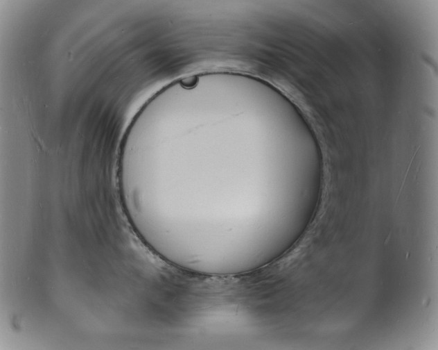 X0000101690912200807101205