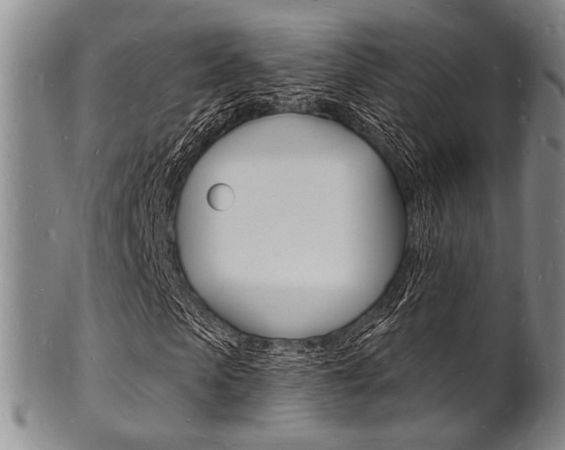 X0000101690913200807101204