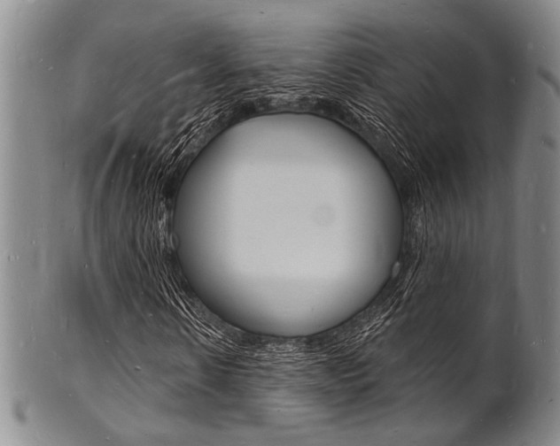 X0000101690914200807101204