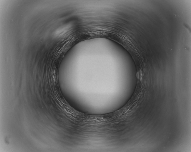 X0000101690915200807101204