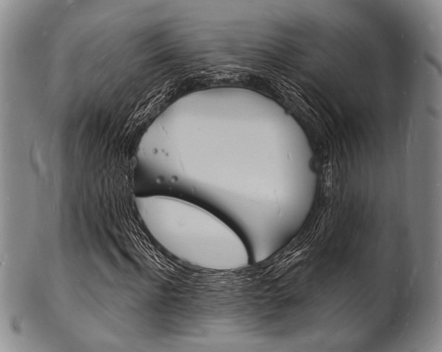 X0000101690916200807101204