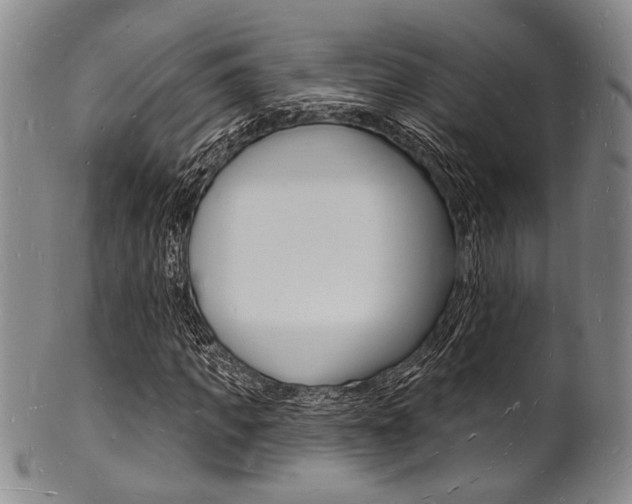X0000101690917200807101204