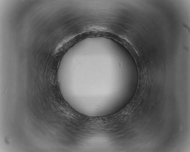 X0000101690919200807101204
