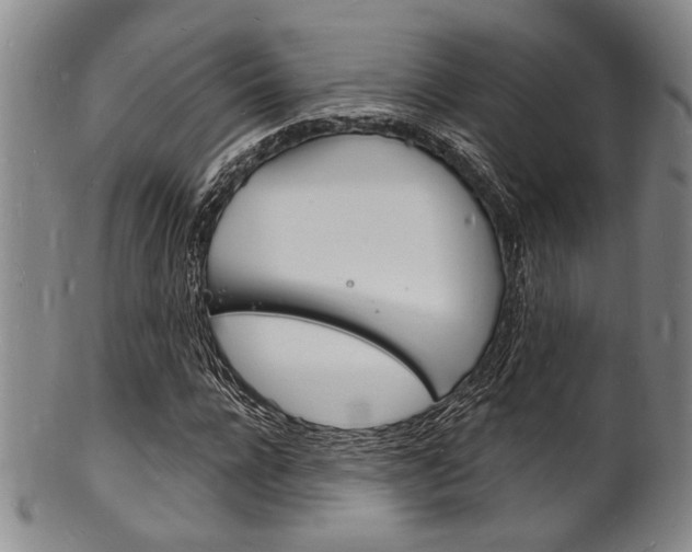 X0000101690920200807101204