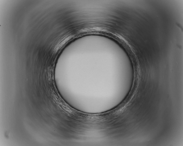 X0000101690921200807101204