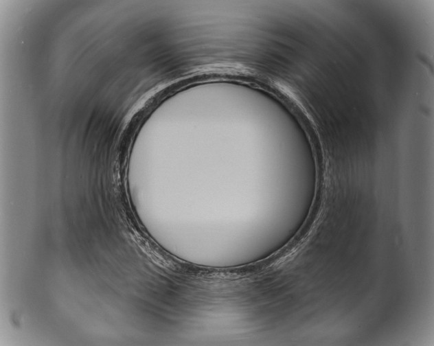 X0000101690923200807101204