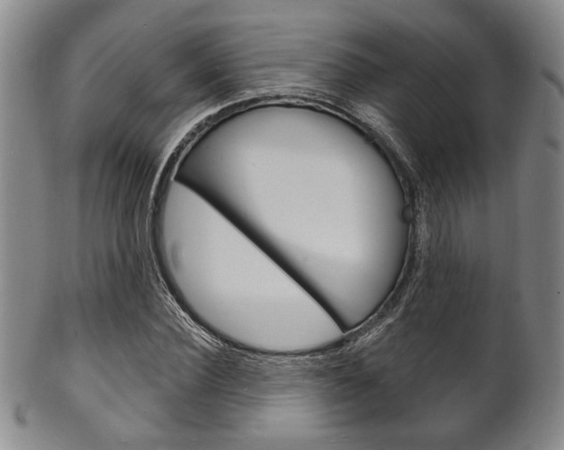 X0000101690924200807101204