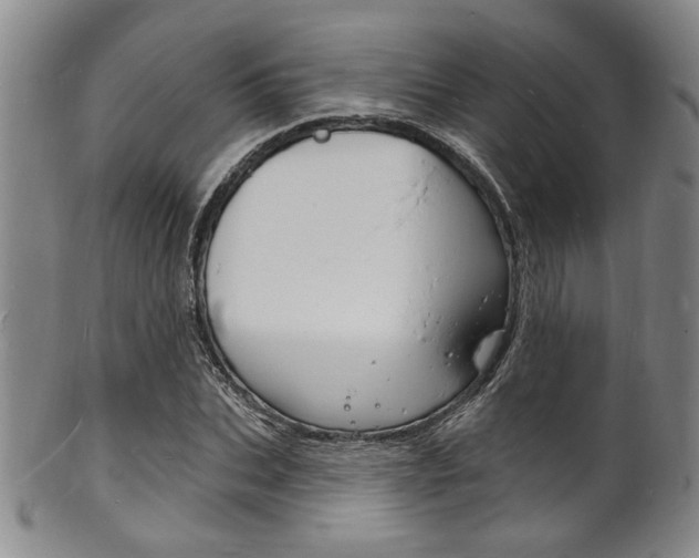 X0000101690927200807101204