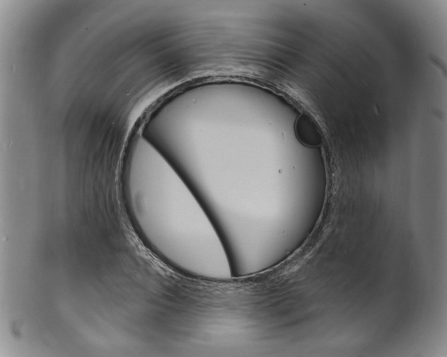 X0000101690928200807101204