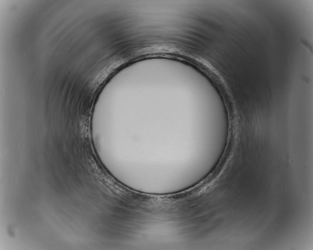 X0000101690929200807101204