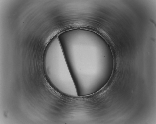 X0000101690930200807101204