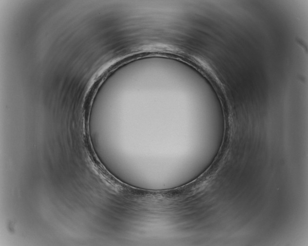 X0000101690931200807101204
