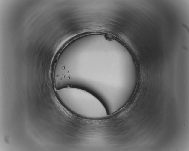 X0000101690932200807101204