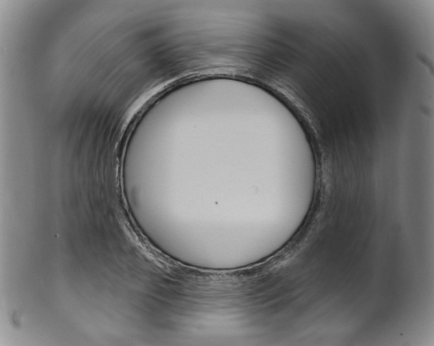 X0000101690933200807101204