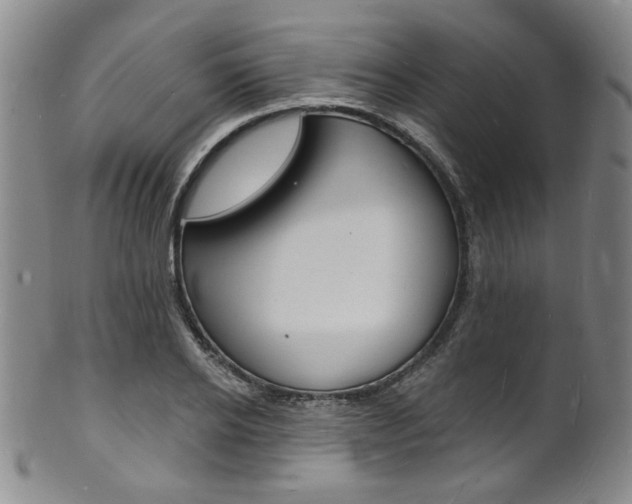 X0000101690934200807101204