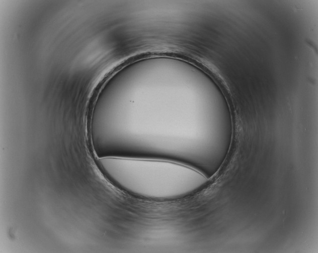 X0000101690935200807101205