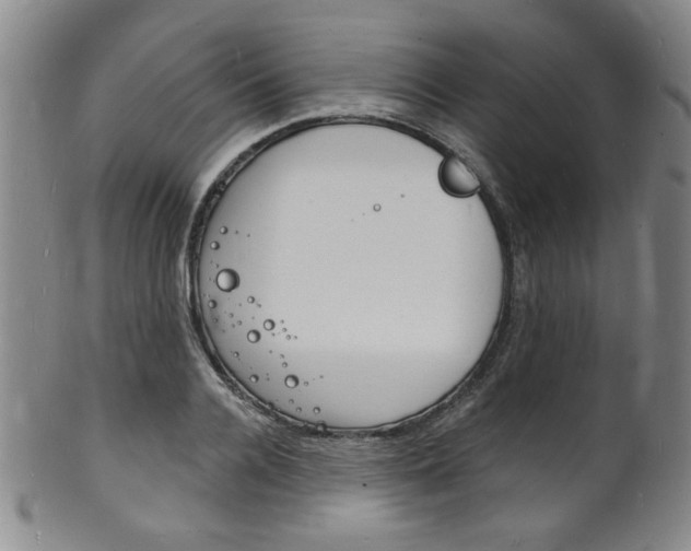 X0000101690936200807101205