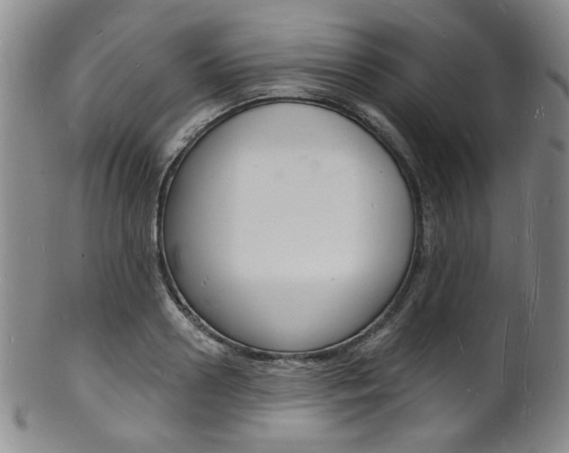 X0000101690938200807101205