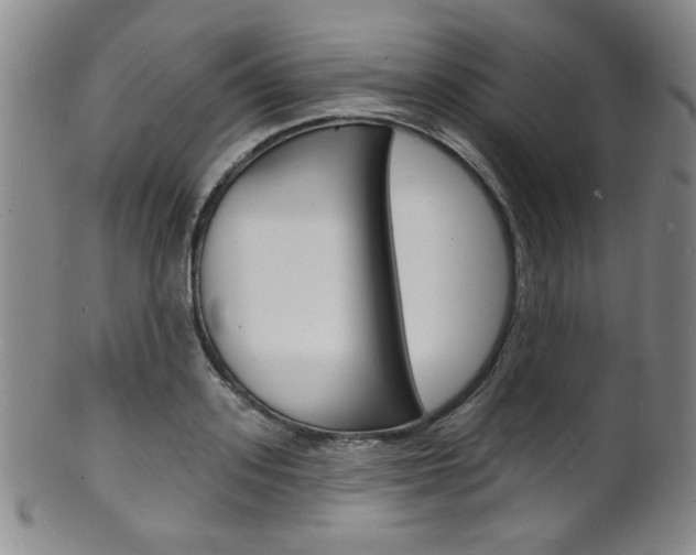 X0000101690939200807101205