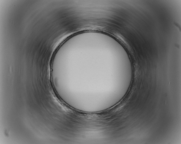 X0000101690940200807101205