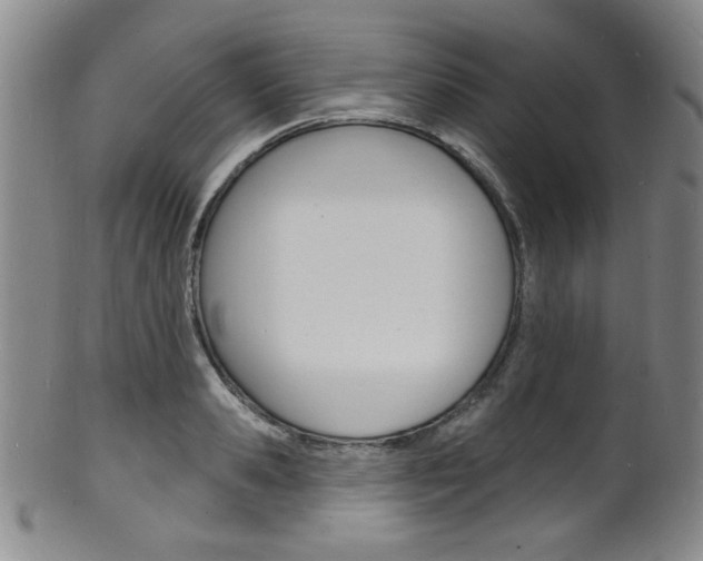 X0000101690941200807101205