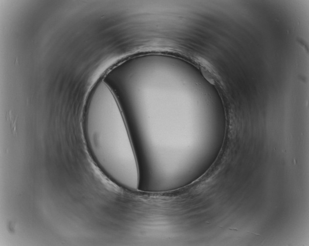 X0000101690942200807101205