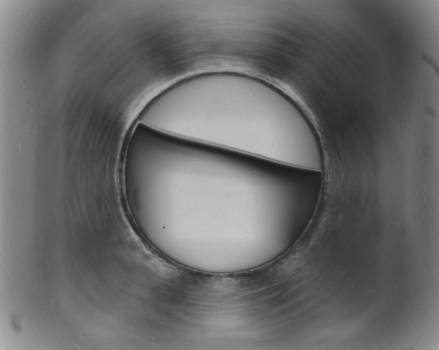 X0000101690943200807101205