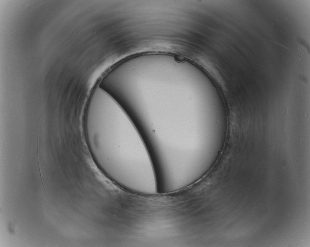 X0000101690944200807101205