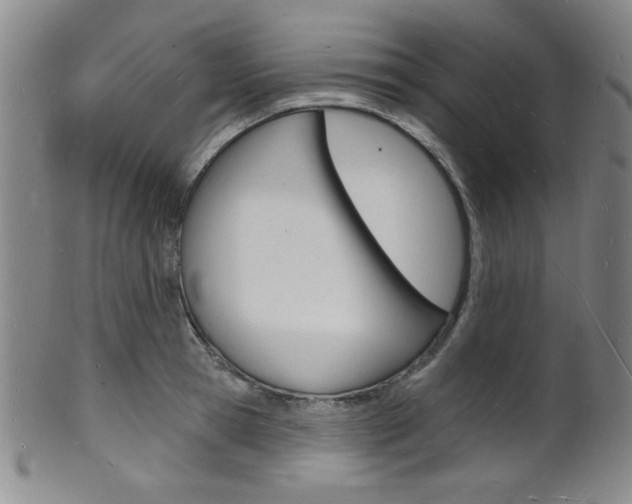 X0000101690945200807101205