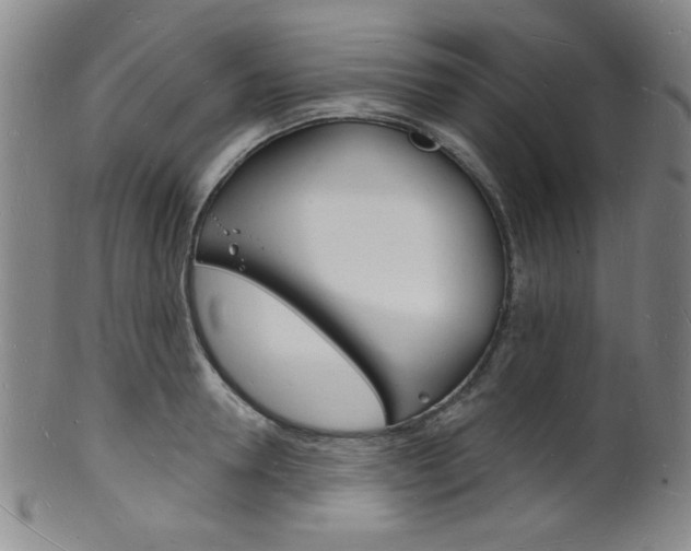 X0000101690946200807101205
