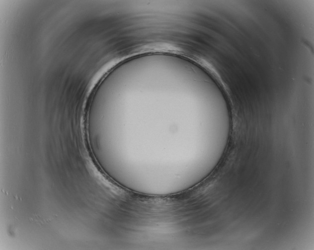 X0000101690947200807101205