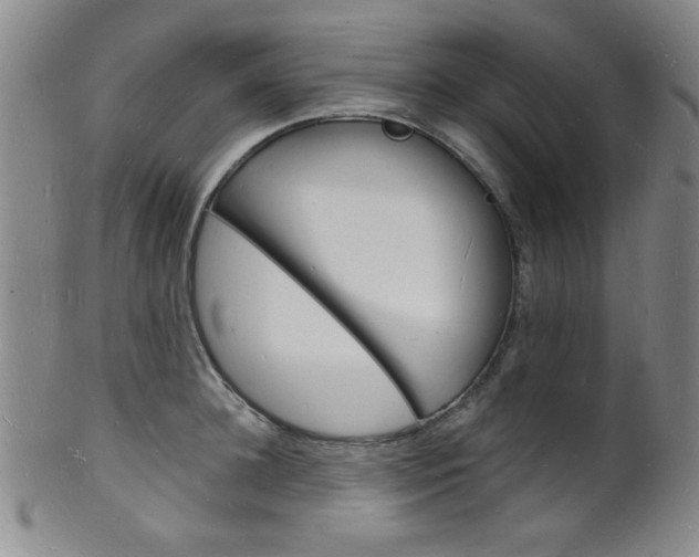 X0000101690948200807101205