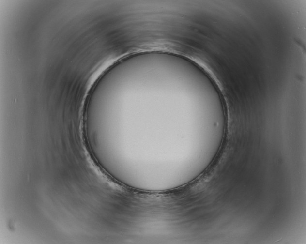 X0000101690949200807101205