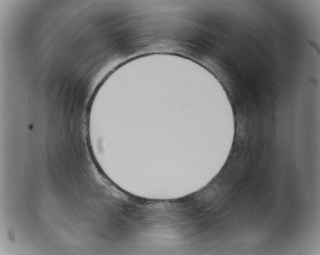 X0000101690950200807101205