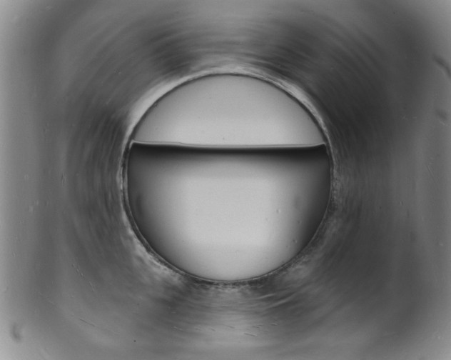 X0000101690951200807101205