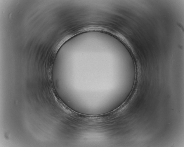 X0000101690953200807101205