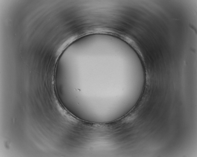 X0000101690954200807101205