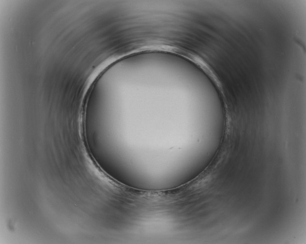 X0000101690955200807101205