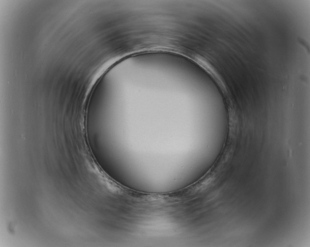 X0000101690956200807101205