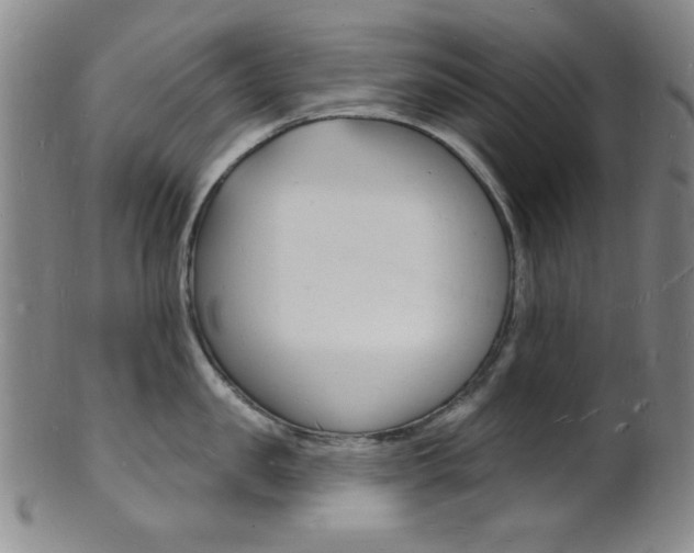 X0000101690957200807101205